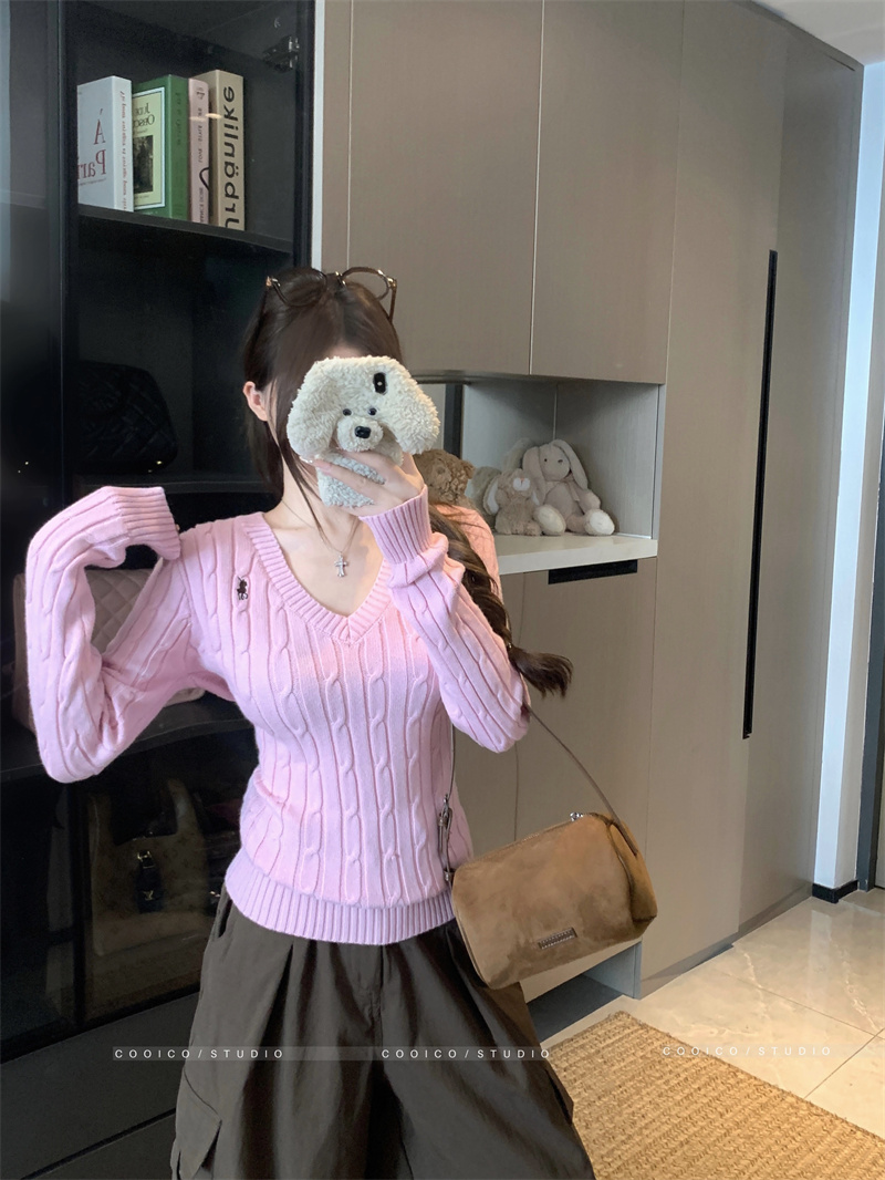 Embroidered V-Neck Cable Knit Pullover Sweater for Women